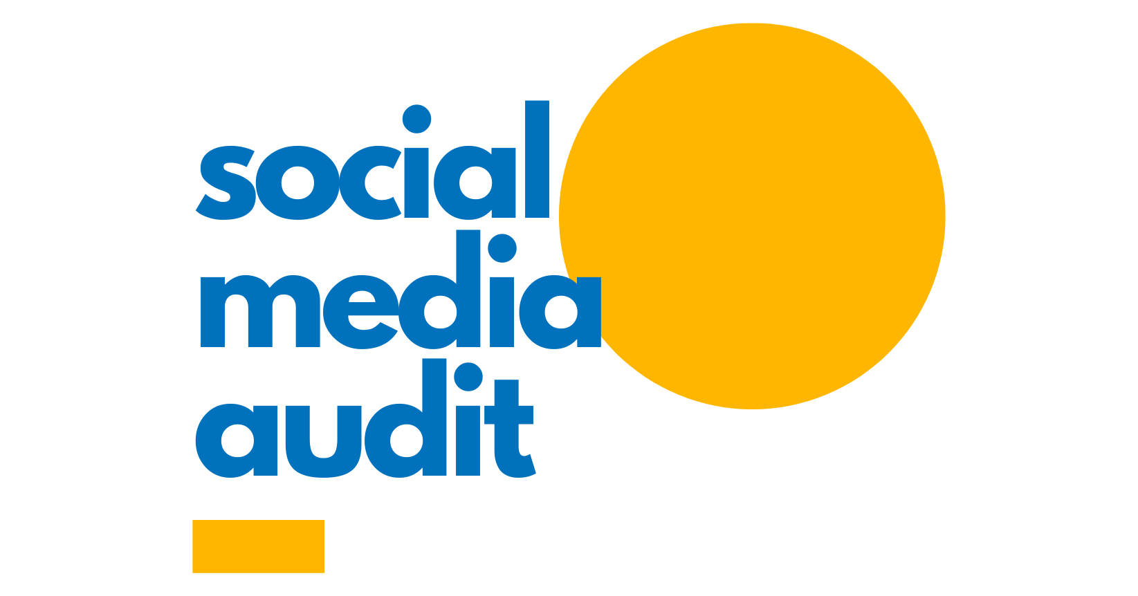 social media audit